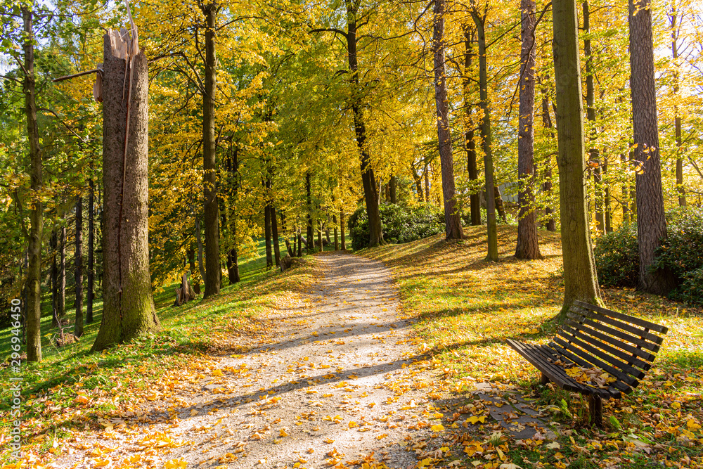 The path leads in one directions. The way to the autumn park in the centre of the forest. The path leads in one directions. The way to the autumn park in the centre of the forest.