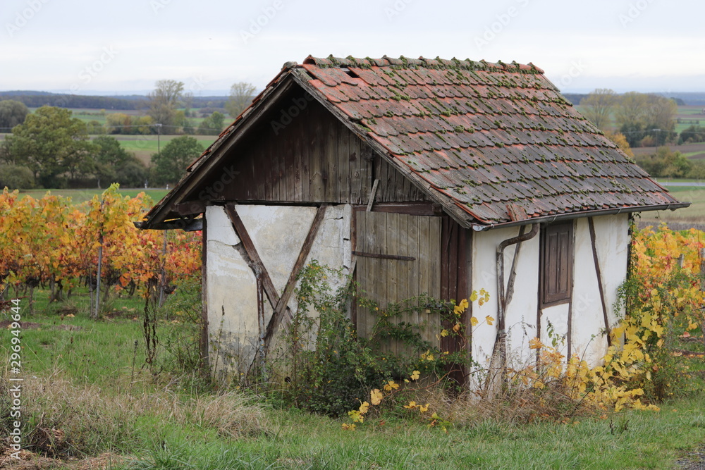 Herbst in den Weinbergen Herbst in den Weinbergen