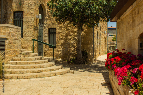 Fototapeta Naklejka Na Ścianę i Meble -  old Europe medieval city street with red flower bed stone alley and living buildings colorful urban photography