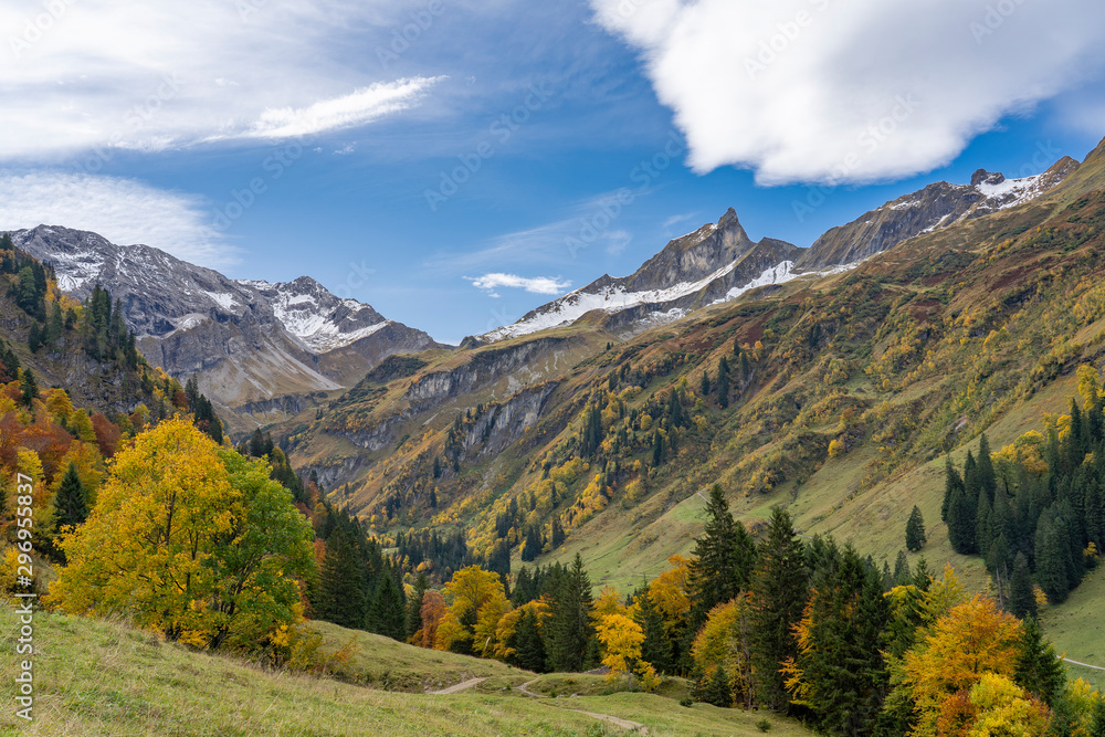 colorful mountain landscape in autumn with golden leaves on trees, Allgau alps in Bavaria, Germany