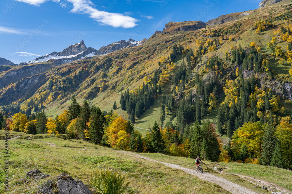 active senior woman riding her electric mountain bike in the autumnal atmosphere of the Allgau mountains near Hindeland, Bavaria, Germany