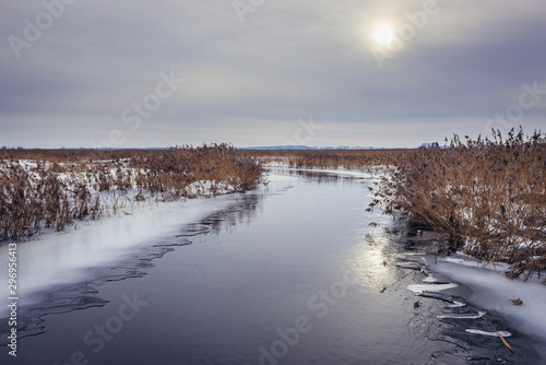 Braided river Narew in Narew National Park  Waniewo village in Poland