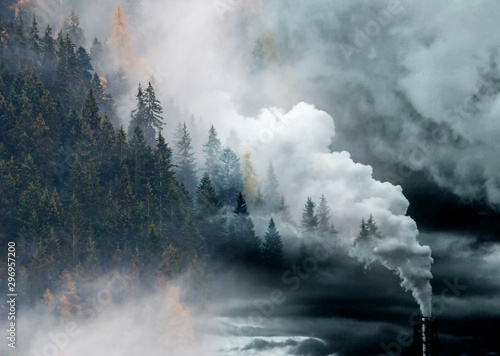 factory smoke covering pine forest double exposure global warming climate change photo