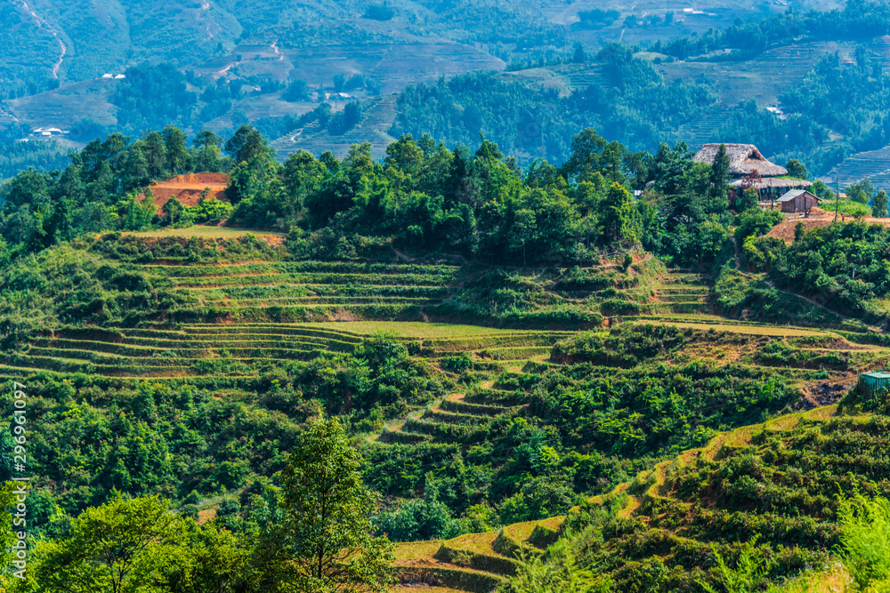 Landscape view of Sapa Valley in Lao Cai Province in Vietnam