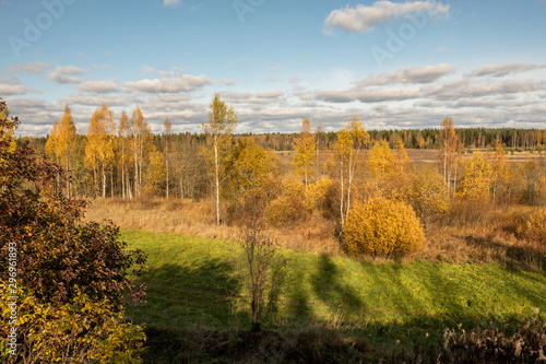 Autumn landscape. View from the mountains to the field and forest. Deciduous trees and shrubs with yellow leaves. Blue sky  white clouds. Day.