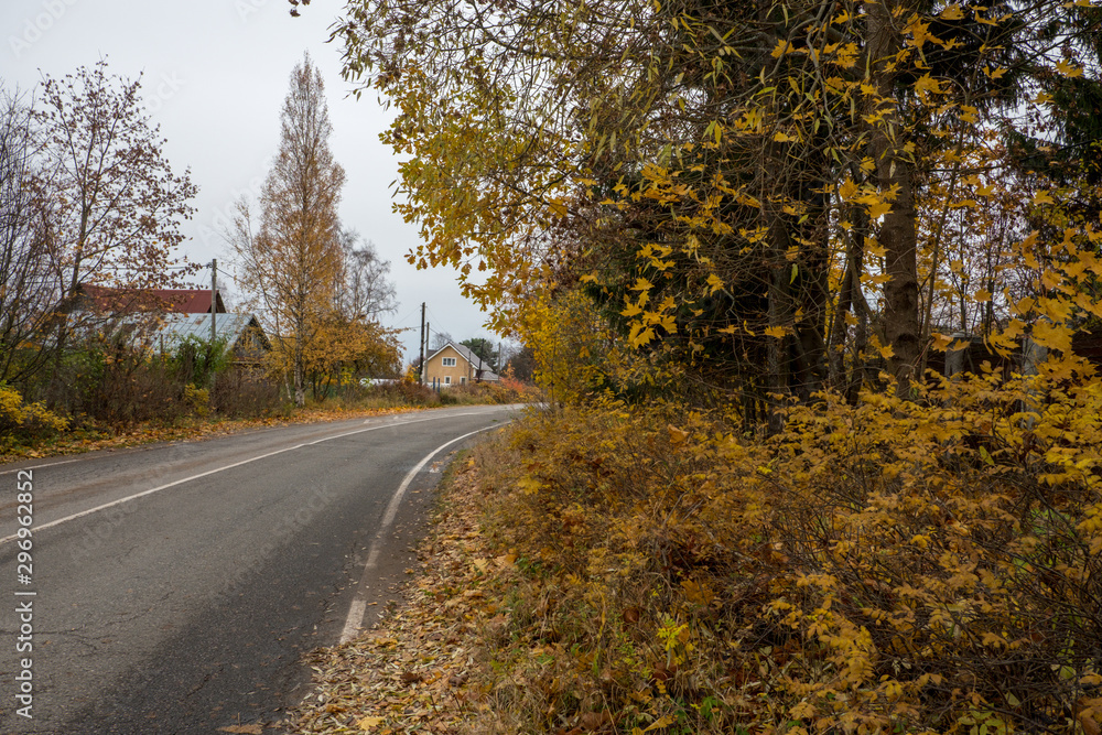 Obraz premium Landscape with an asphalt road. Against the background of the autumn forest. Autumn, day. Mainly cloudy.
