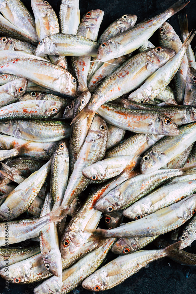 Fresh Catch of Red Mullet. Black Sea Sultanka Fish. Fresh Catch of Red Mullet. Black Sea Sultanka Fish.