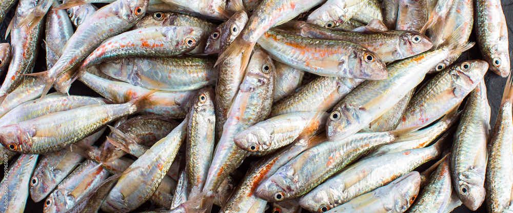 Fresh Catch of Red Mullet. Black Sea Sultanka Fish. Fresh Catch of Red Mullet. Black Sea Sultanka Fish.