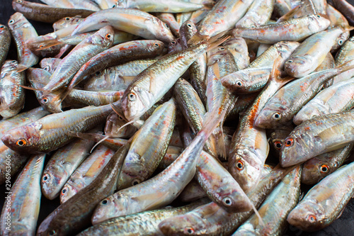 Fresh Catch of Red Mullet. Black Sea Sultanka Fish.