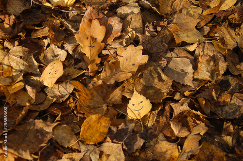 autumn leaves on the ground. smiles