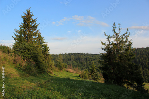 Beautiful view of the landscape in the Carpathian mountains