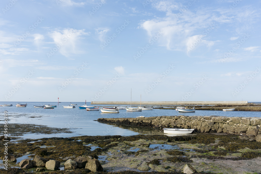 many small boats anchored on a rocky coast in a small harbor at low tide