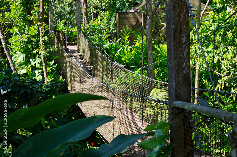 Φωτογραφία Suspended bridges at top of the trees in Parc Des Mamelles, Guadeloupe Zoo, in the middle of the rainforest on Chemin de la Retraite, Bouillante