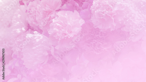 Blurred of flowers pink blooming. in the pastel color style for background.