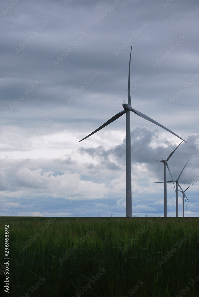wind turbines in the field 2