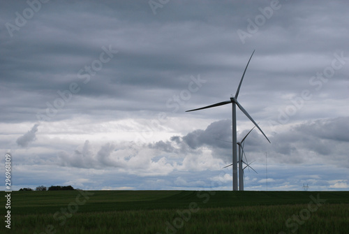 wind turbines in the field 12