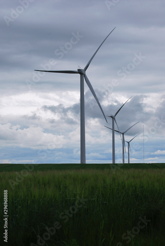 wind turbines in the field 3