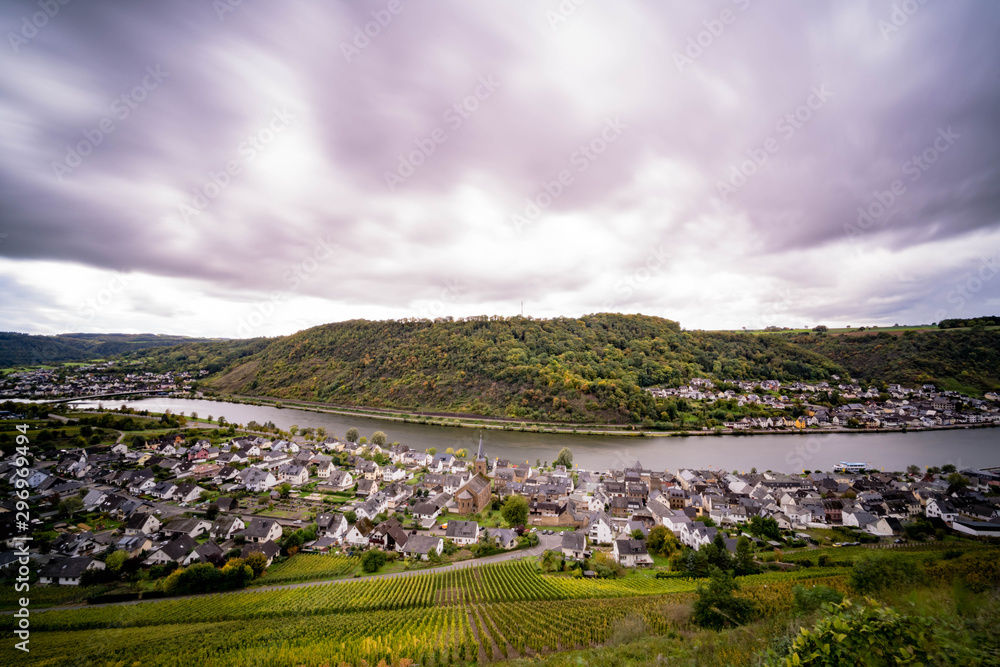 Fototapeta premium Rebhänge an der Moselschleife