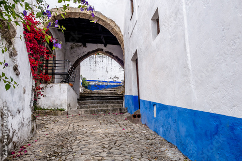 Classic town alleys between whitewashed buildings in Obidos Portugal