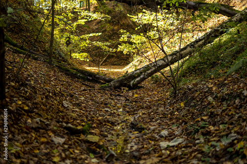 bottom of a gully landform