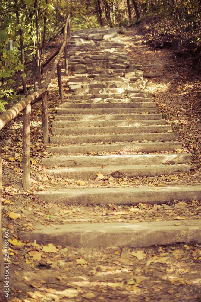 Fototapeta stare schody w lesie z żółtymi liśćmi