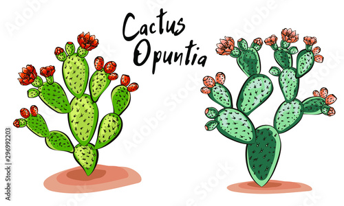 Set of banners with hand drawn prickly pear, sketch style vector illustration isolated on white background. Wild floral exotic tropical plant. Black and white of Opuntia ficus-indica