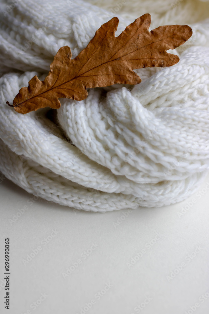 Autumn composition. plaid, dried leaves on white background. Autumn, fall concept. Flat lay, top view, copy space