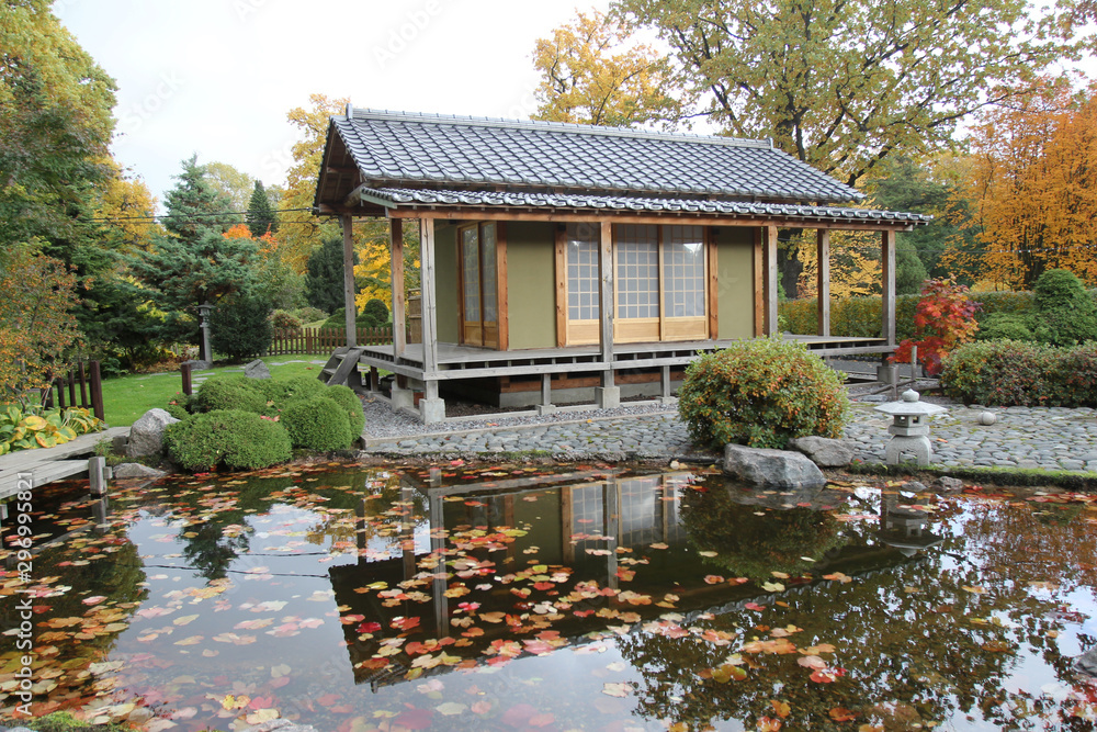 Obraz premium Golden autumn