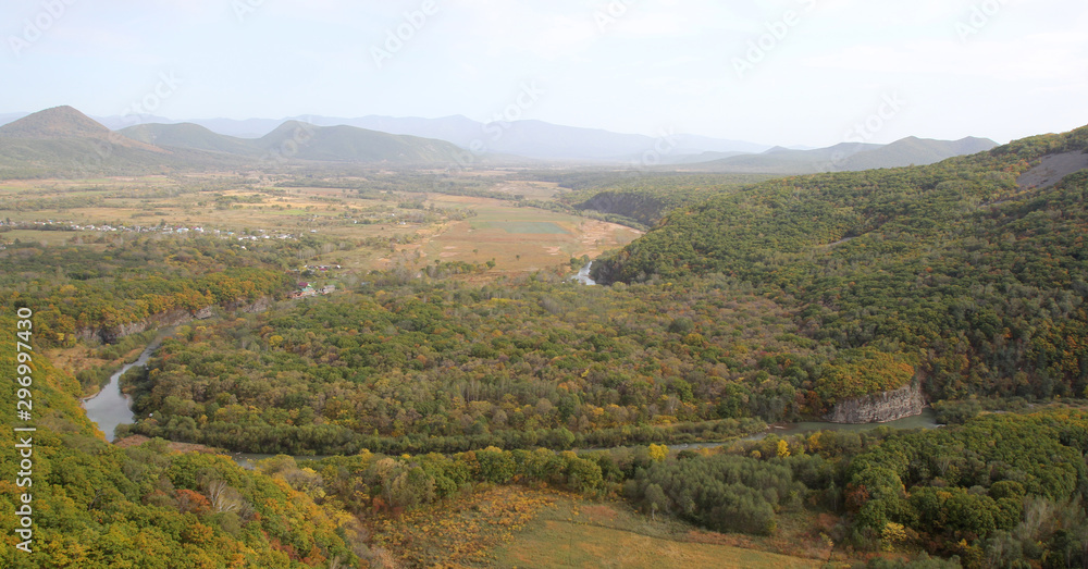 Fototapeta premium Golden autumn