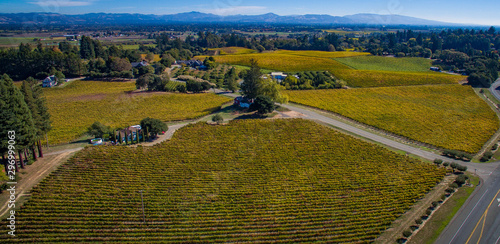 Sebastopol Vineyard estates