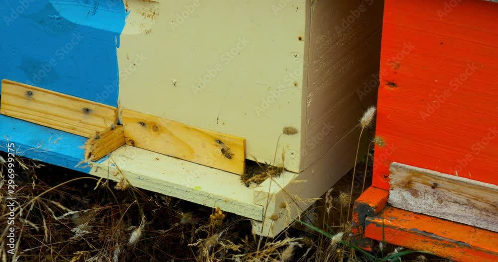 Hives honey in farm with bees Hives honey in farm with bees