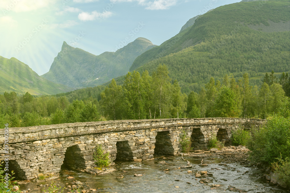 Mountain river bridge, green forest landscape, Norway