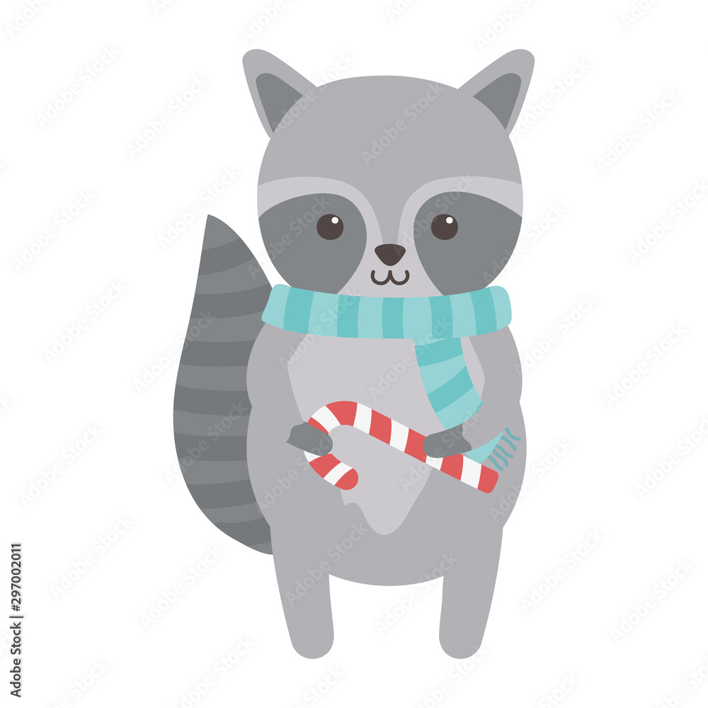 cute raccoon with scarf and candy cane merry christmas