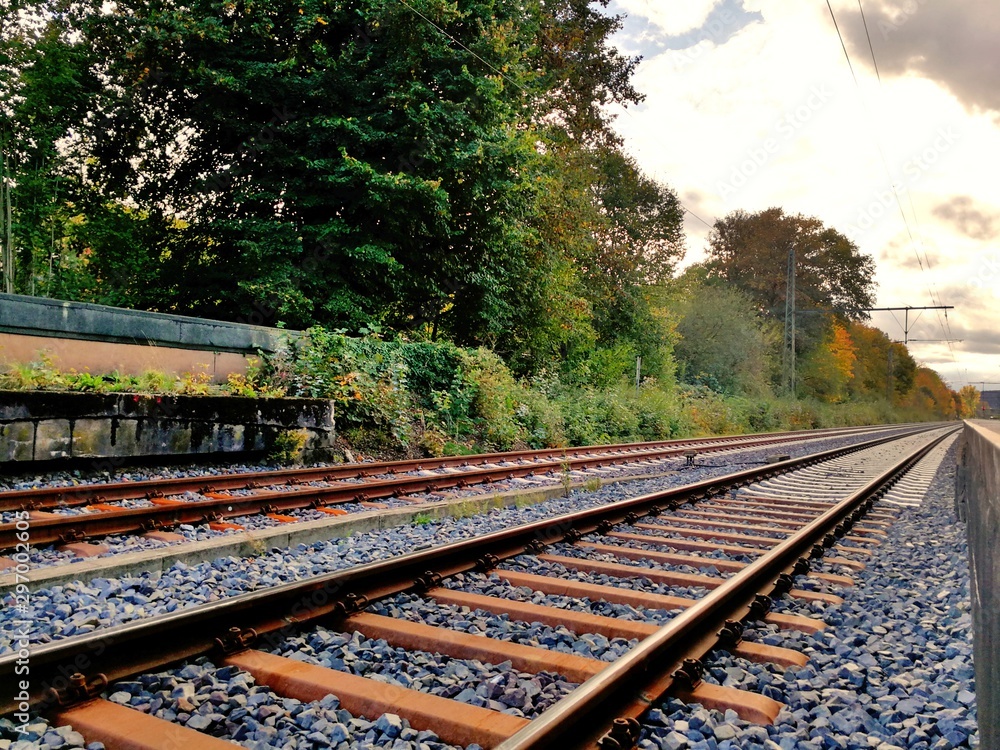 Obraz premium Endless Forest Railway in the Sunset