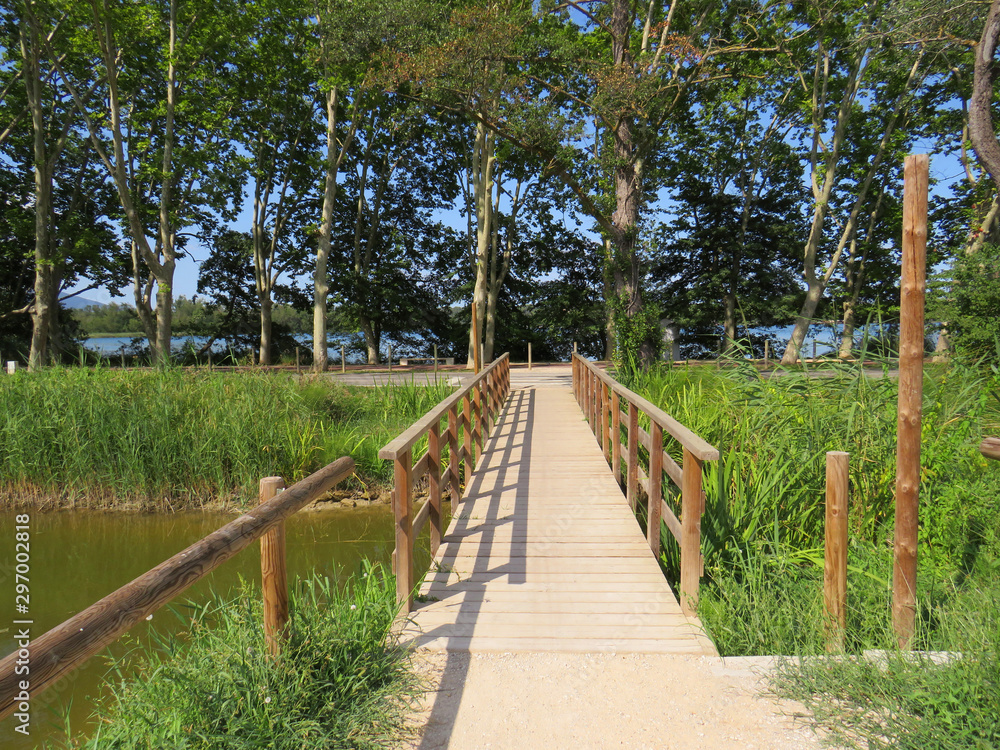 Wooden bridge in natural park
