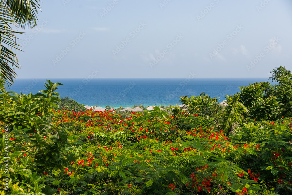Scenic view lowers plants and trees and the ocean in Montego Bay, Jamaica.