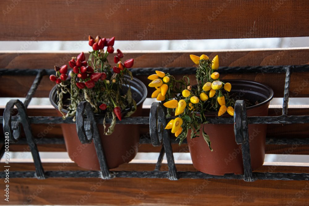 Red and yellow peppers in a pot