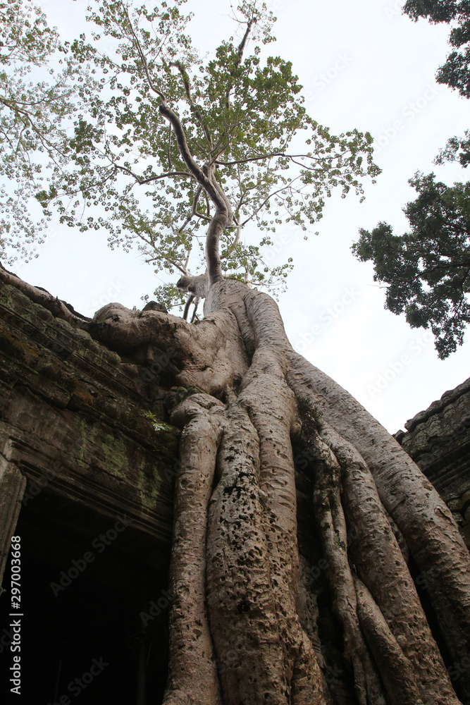 Angkor Wat. Cambodia