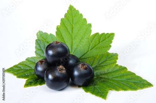 Blackcurrant with leaves isolated on white