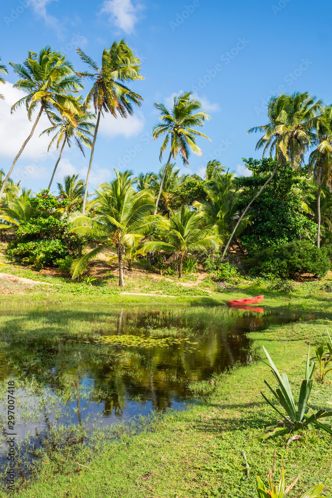 A view of the river Capivara Grande with coconut trees in the background at the Hippie Village in Arembepe - Bahia, Brazil