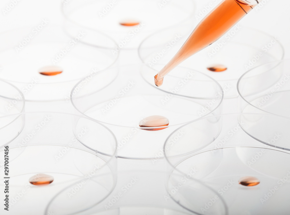 Petri dishes and pipette with liquid material. Petri dishes and pipette with liquid material.