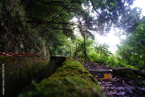 Waypath and Levada in Detail photo