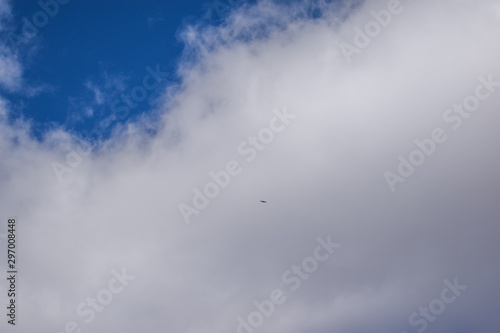 Colorado blue sky with small eagle