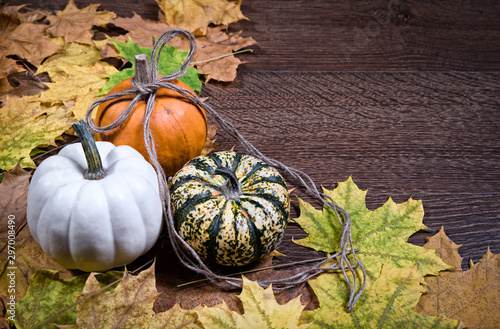 Pumpkins and leaves photo