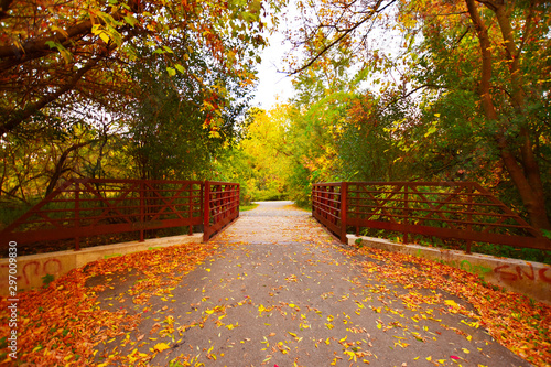 Photography Fall colours in Toronto