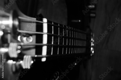 Bass strings macro photography