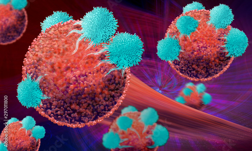 Cancer cells being treated with immunotherapy photo