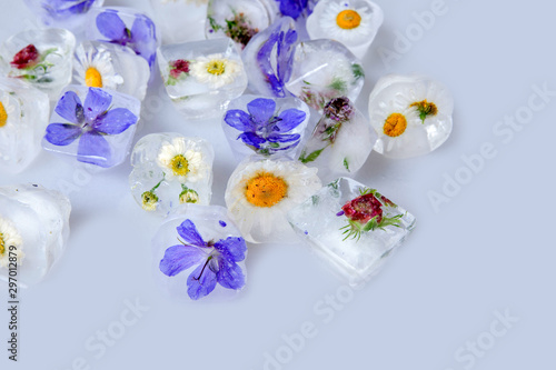 Ice cubes with flowers on white background  closeup