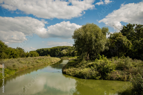 common green summer landscape of river stream and green foliage meadow 