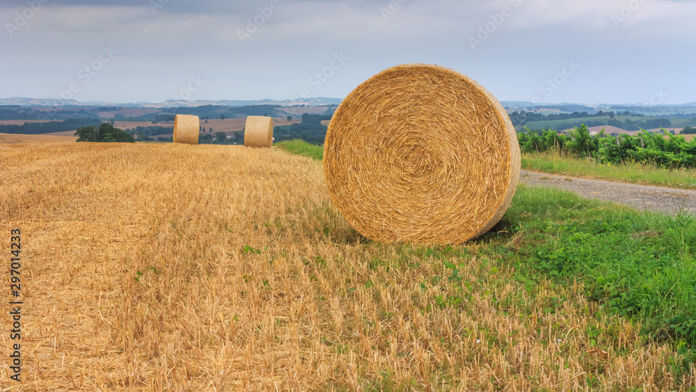 Summer rural landscape, banner - view of agricultural fields after harvesting, in the historical province Gascony, the region of Occitanie of southwestern France Summer rural landscape, banner - view of agricultural fields after harvesting, in the historical province Gascony, the region of Occitanie of southwestern France